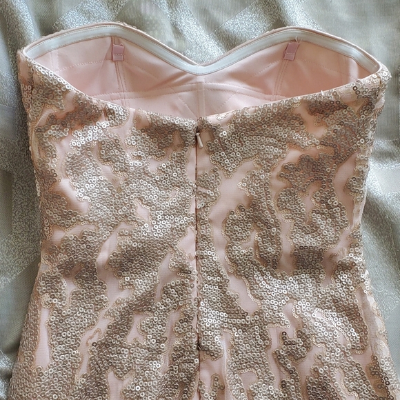 Pink Sweet Heart Gown - Picture 3 of 6